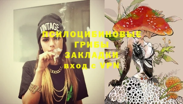 spice Балабаново