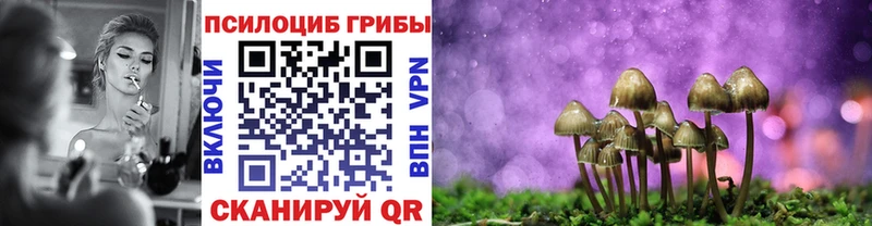 Псилоцибиновые грибы Psilocybe  Ужур 